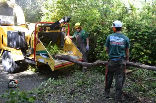 tree services Missouri Valley